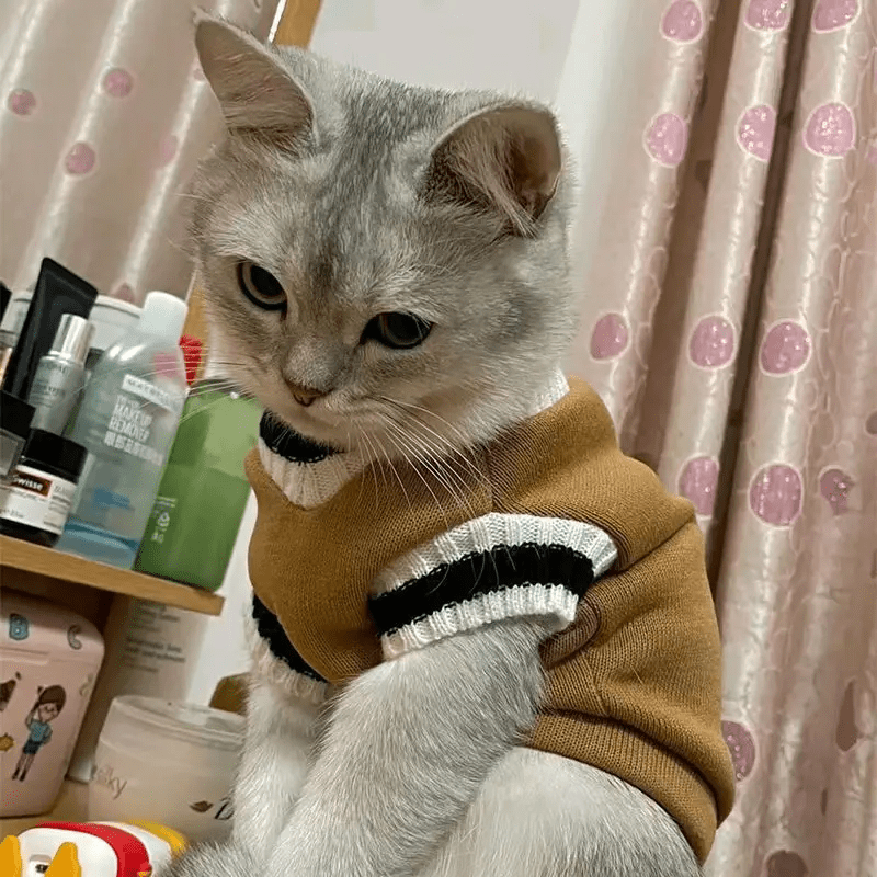 Korean V - Neck High School Uniform - PawPlaza