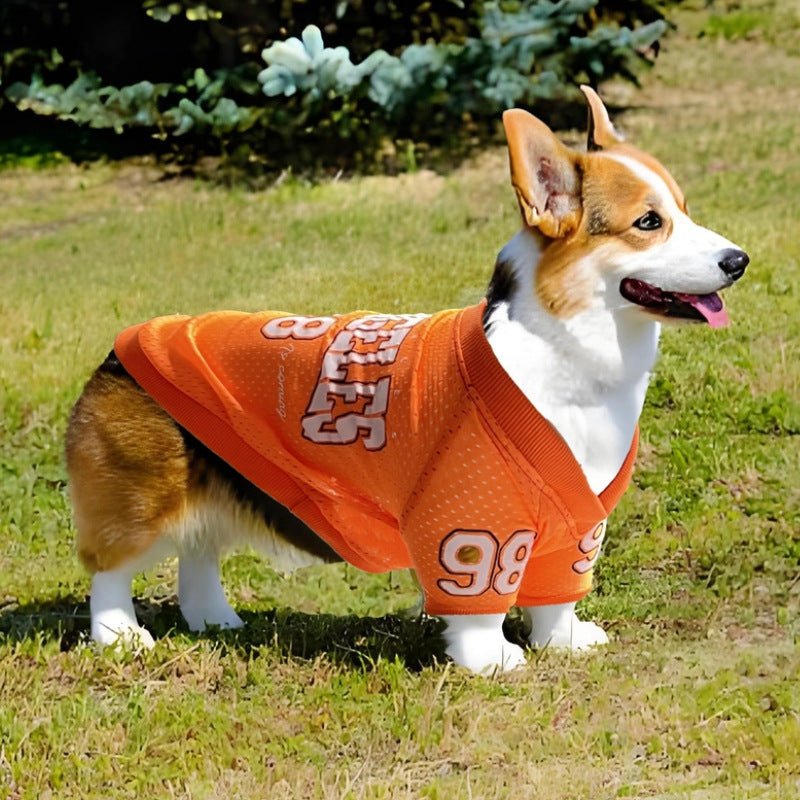 Los Angeles Jersey - PawPlaza