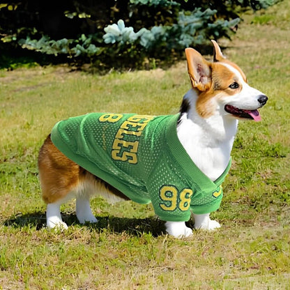 Los Angeles Jersey - PawPlaza