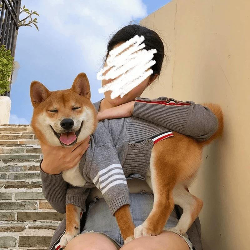 Luxury Cardigan Sweater - PawPlaza