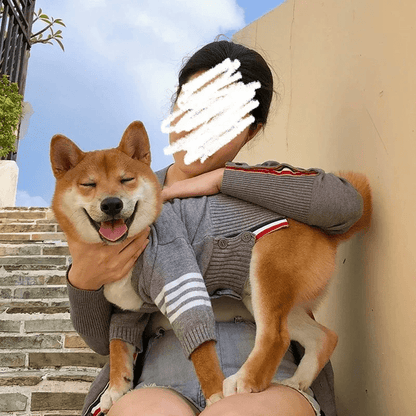 Luxury Cardigan Sweater - PawPlaza