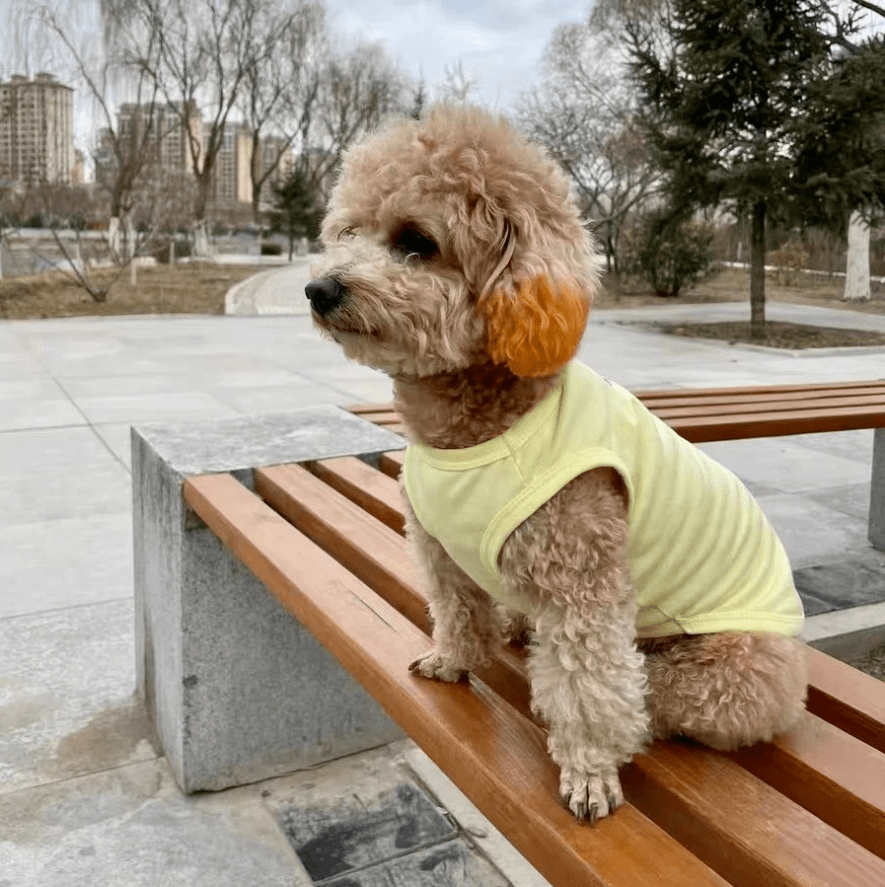 Milky Cloud Cotton Tees - PawPlaza