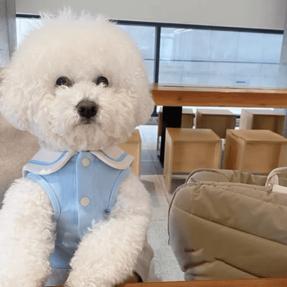 Nautical Breeze Collar Shirt - PawPlaza