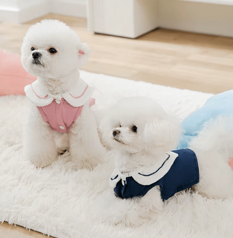 Nautical Breeze Collar Shirt - PawPlaza