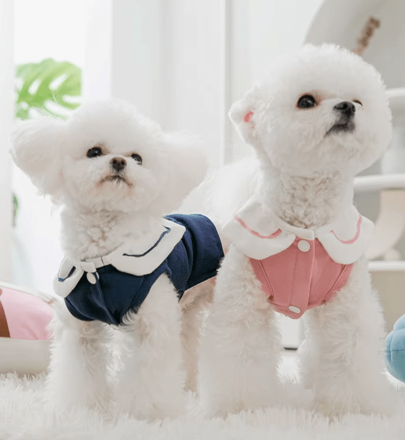 Nautical Breeze Collar Shirt - PawPlaza