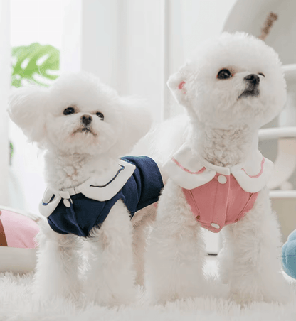 Nautical Breeze Collar Shirt - PawPlaza