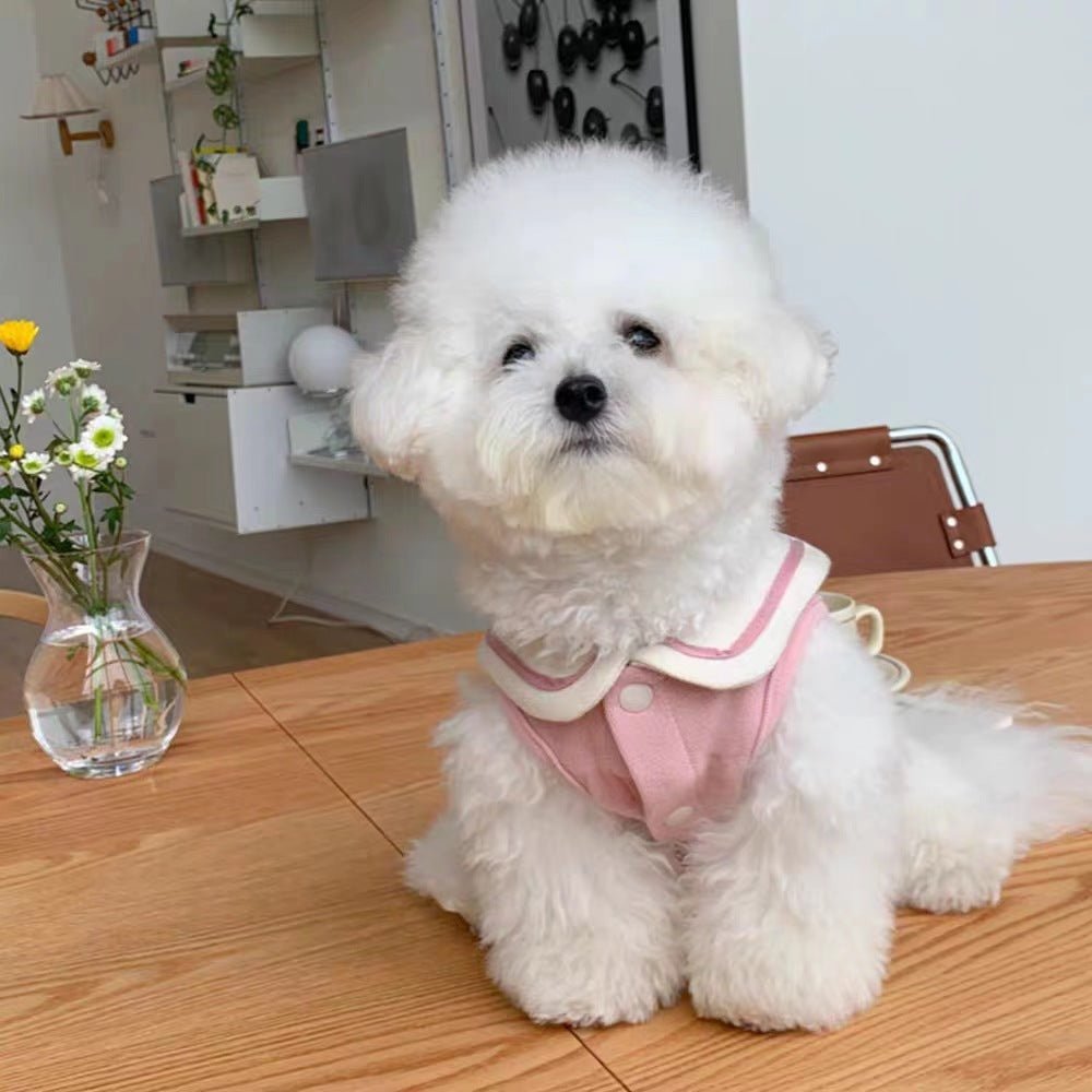 Nautical Breeze Collar Shirt - PawPlaza