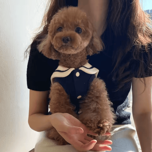 Nautical Breeze Collar Shirt - PawPlaza