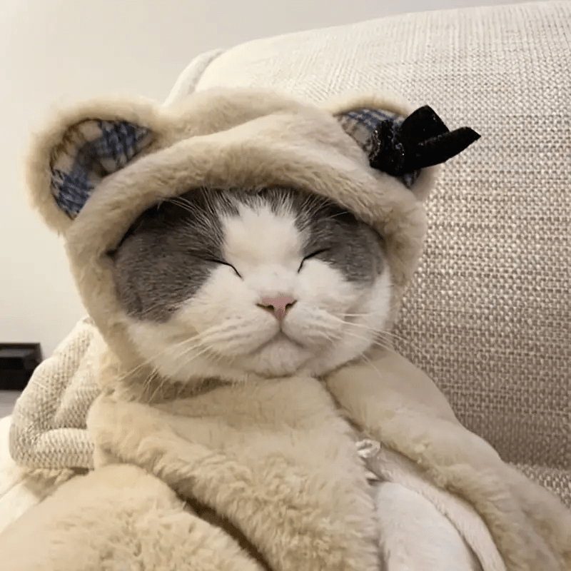 Oversized Cute Bear Blanket Cloak - PawPlaza