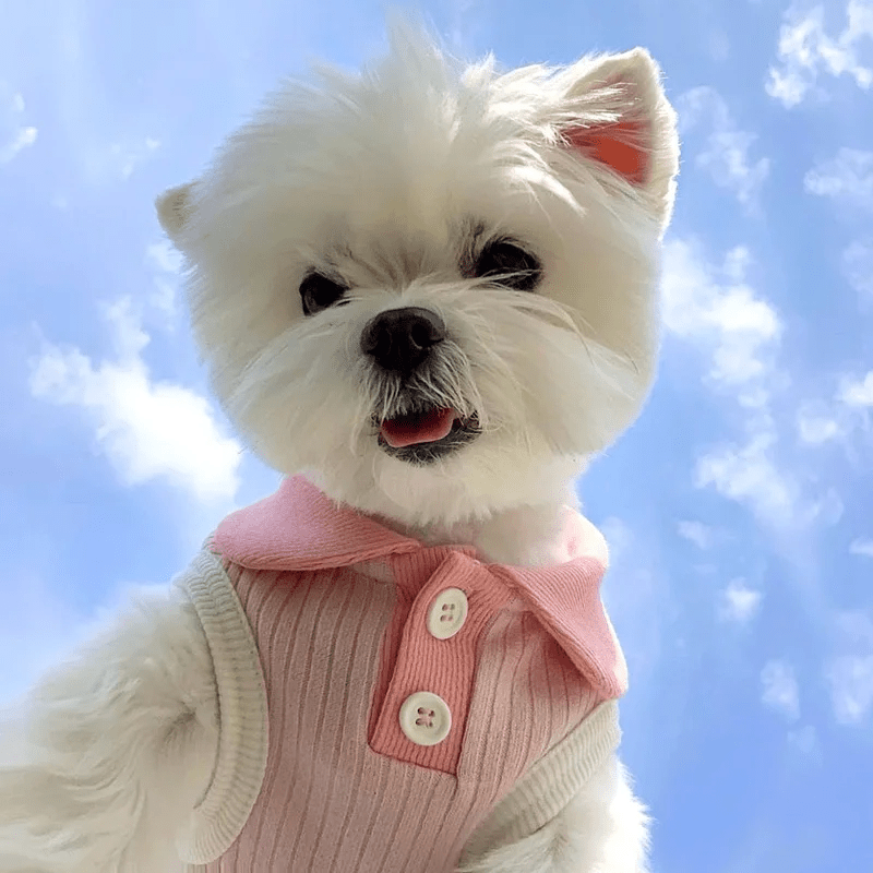 Pastel Color Puppy Shirts - PawPlaza