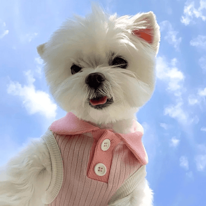 Pastel Color Puppy Shirts - PawPlaza