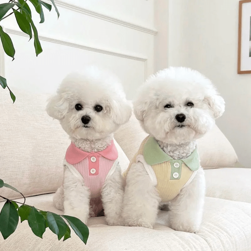 Pastel Color Puppy Shirts - PawPlaza