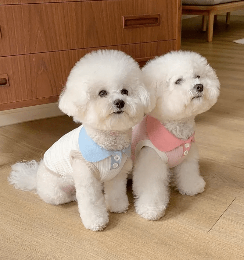 Pastel Color Puppy Shirts - PawPlaza