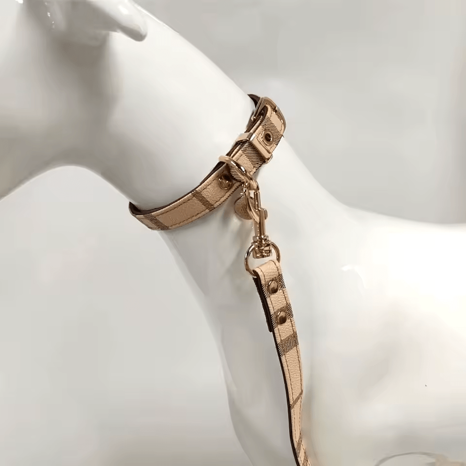 Pawsh & Posh Leather Collar Set - PawPlaza