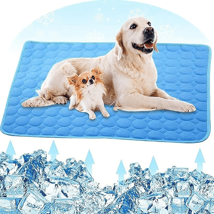 Pet Cooling Summer Mat Blanket - PawPlaza
