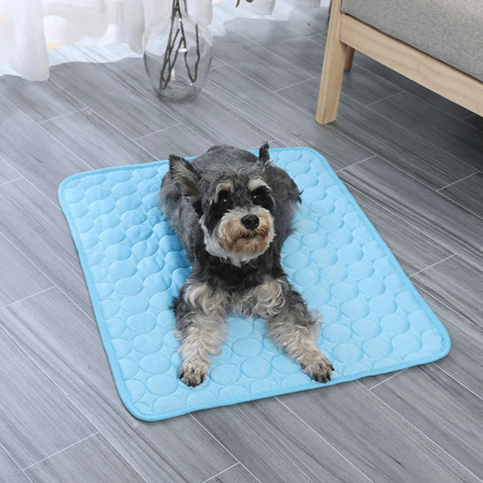 Pet Cooling Summer Mat Blanket - PawPlaza