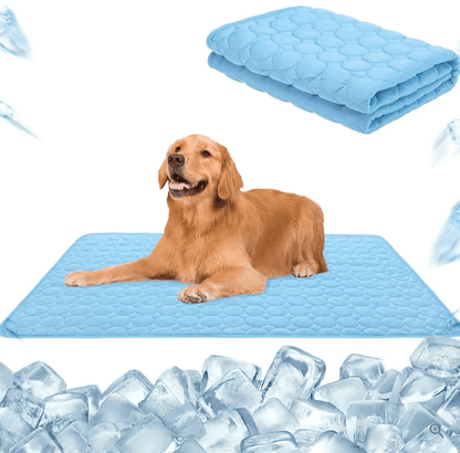 Pet Cooling Summer Mat Blanket - PawPlaza