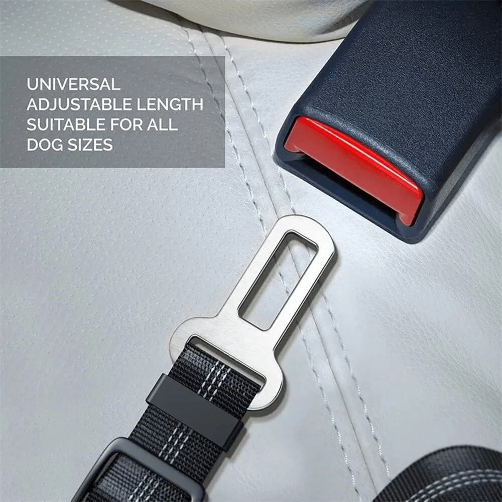 Pet Elastic Car Seat Belt - PawPlaza