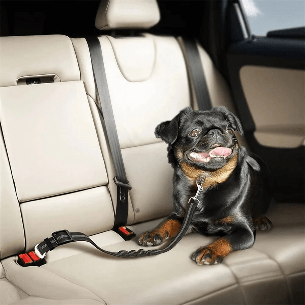 Pet Elastic Car Seat Belt - PawPlaza