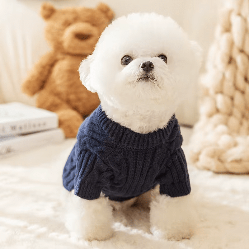 Plush Knit Sweater - PawPlaza
