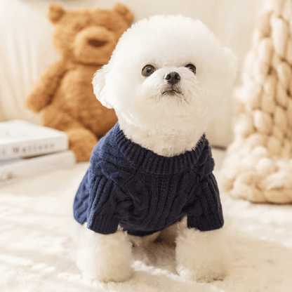 Plush Knit Sweater - PawPlaza