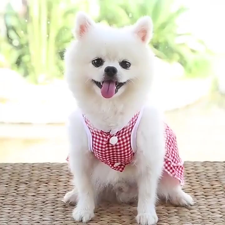 Sugarpaw Sunday Dress