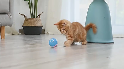 Smart LED Cat Toy Self Rolling Catnip Feather Ball