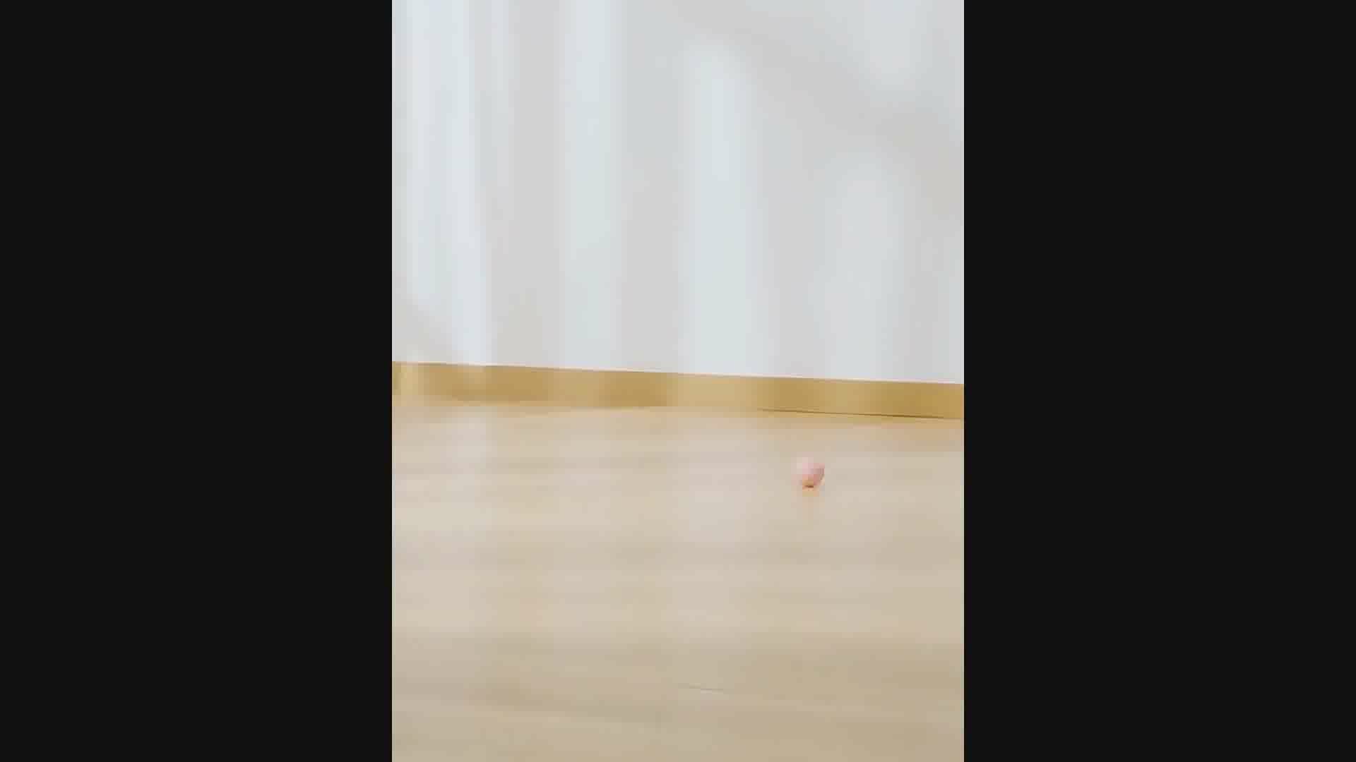 Pet Electric Self-Rolling Smart Ball