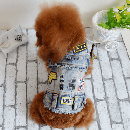 Punky Jean Jacket - PawPlaza