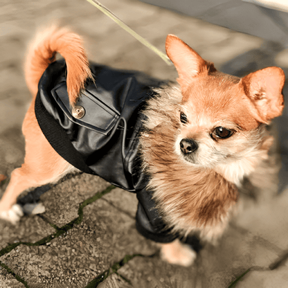 Punky Leather Parka - PawPlaza