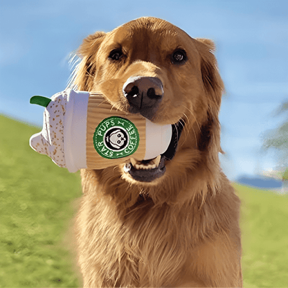 Pup Cup Squeaky Coffee Toy - PawPlaza