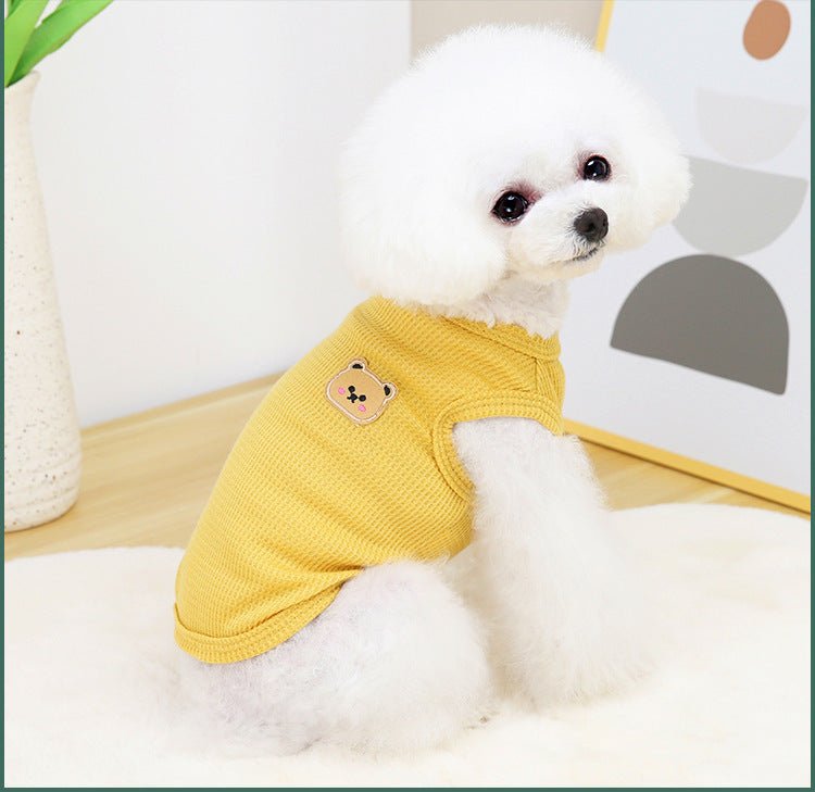 Slim Teddy shirt - PawPlaza
