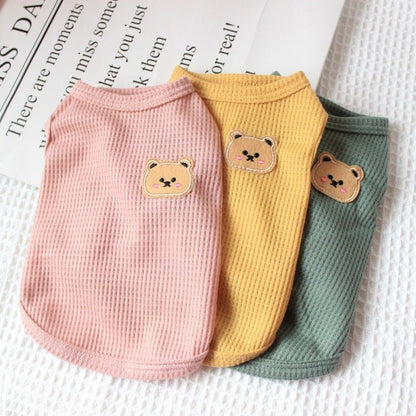 Slim Teddy shirt - PawPlaza