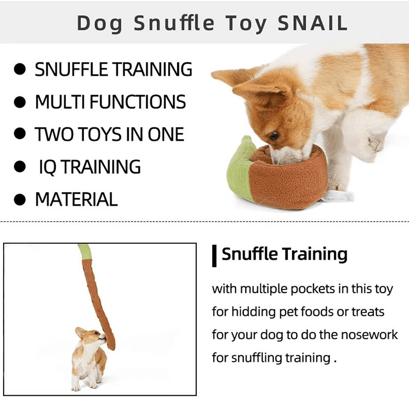 Snail Snack Sniffing Toy - PawPlaza
