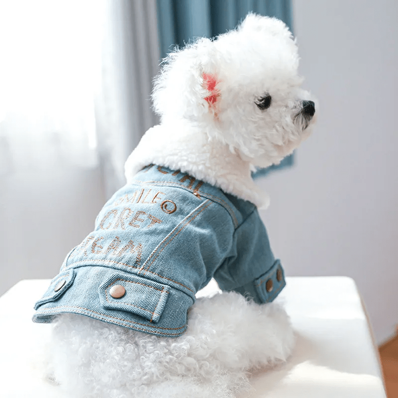 Snuggly Fleece Collar Denim Jacket - PawPlaza