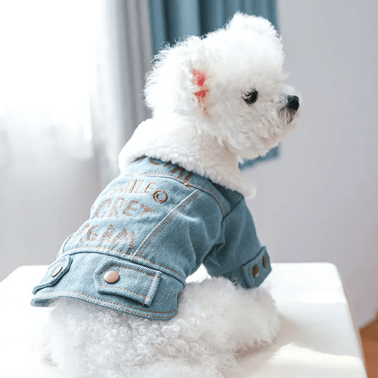 Snuggly Fleece Collar Denim Jacket - PawPlaza