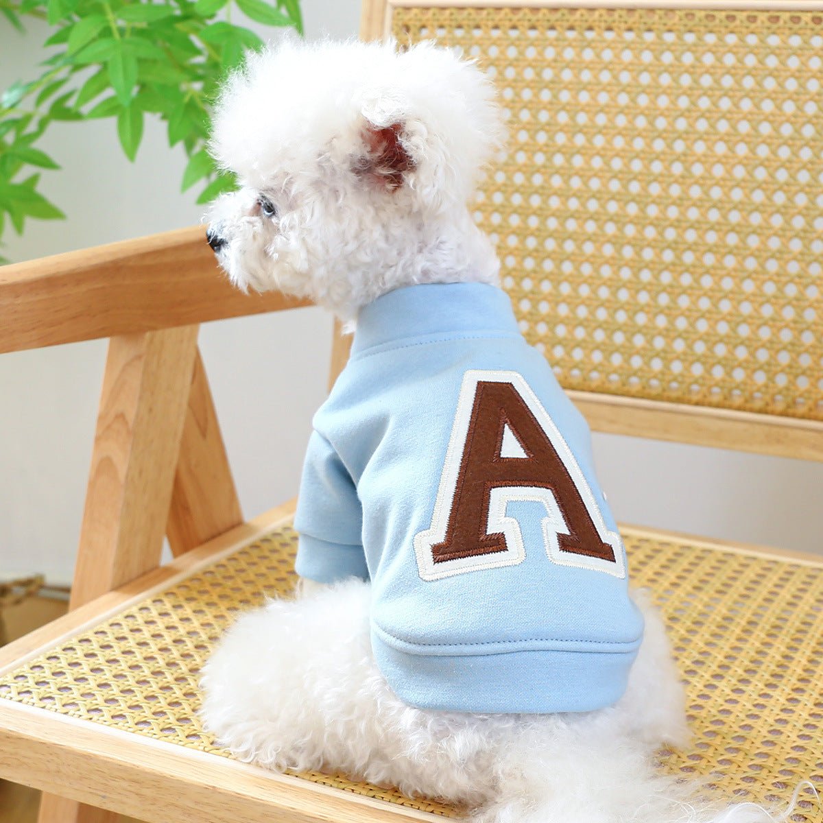 Soft Initial Sweatshirt - PawPlaza