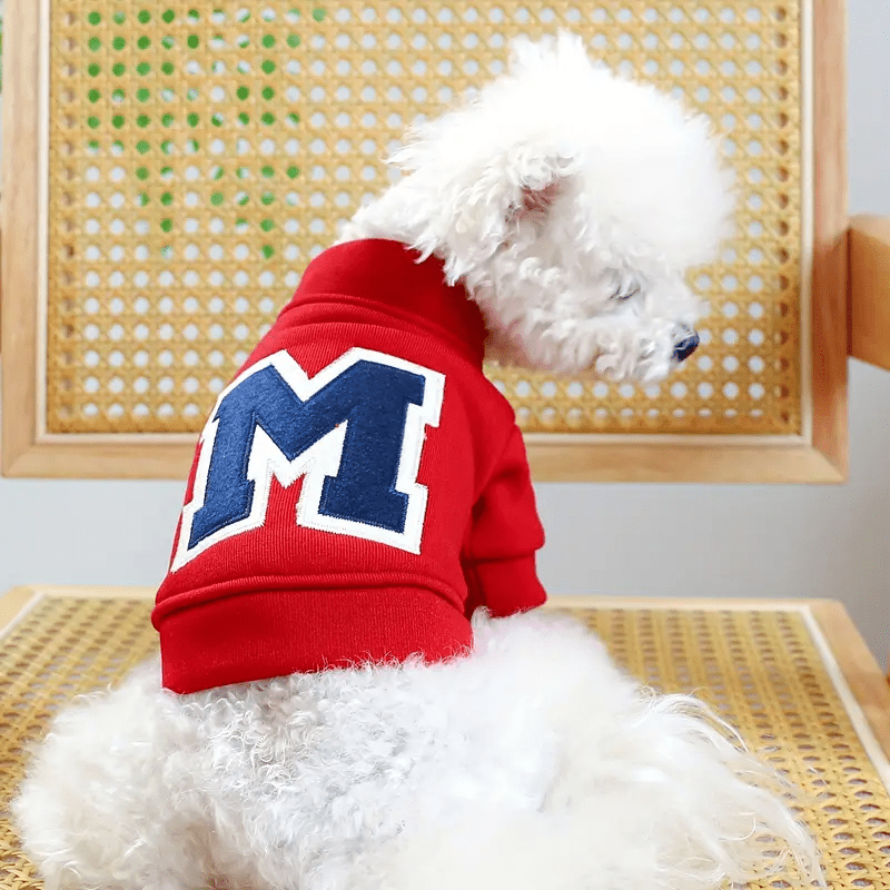 Soft Initial Sweatshirt - PawPlaza