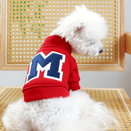 Soft Initial Sweatshirt - PawPlaza