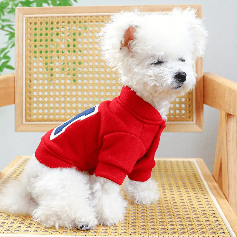 Soft Initial Sweatshirt - PawPlaza