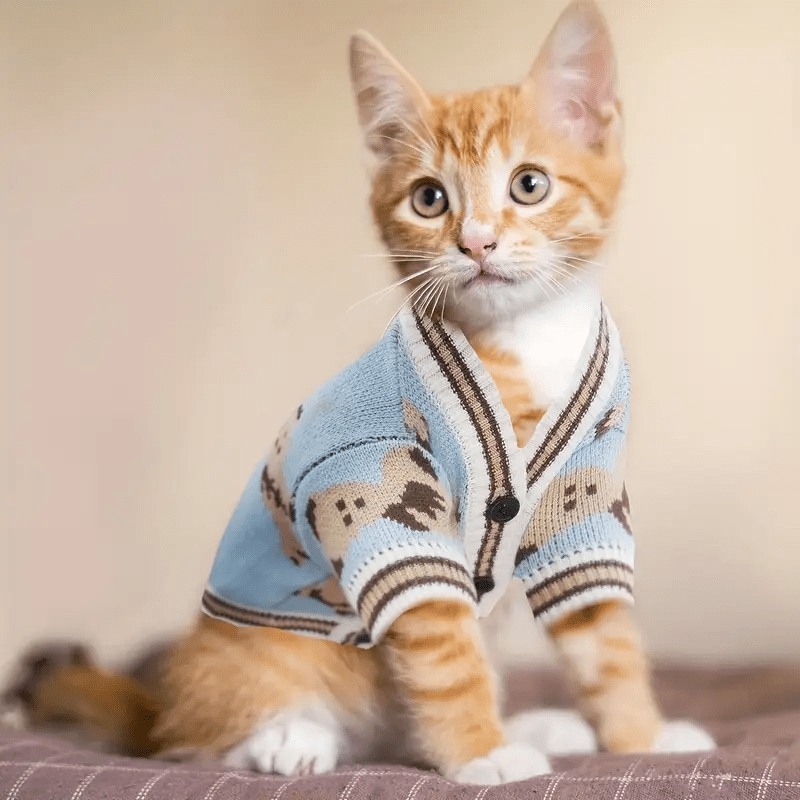 Soft Knitted Bear Cardigan - PawPlaza