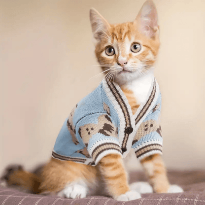 Soft Knitted Bear Cardigan - PawPlaza
