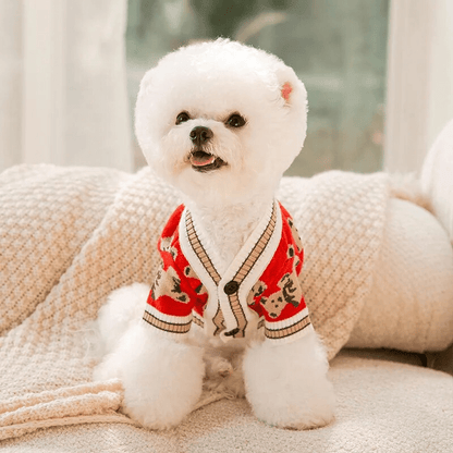 Soft Knitted Bear Cardigan - PawPlaza