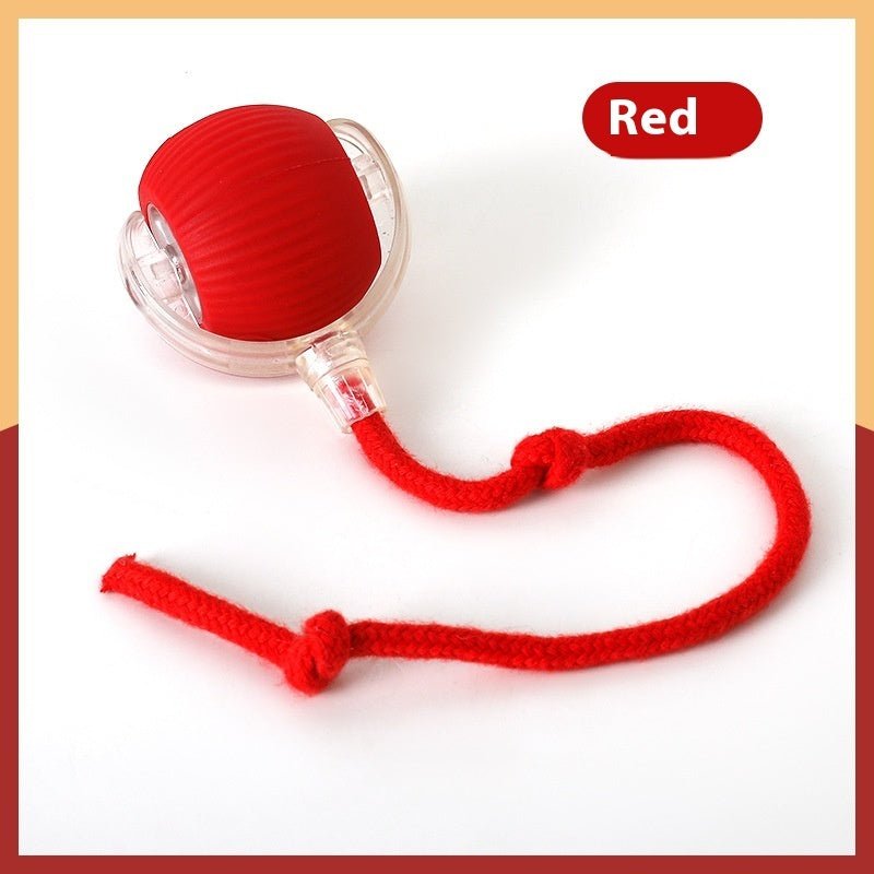 SpinBuddy™ Auto - Roll Tug Ball - PawPlaza