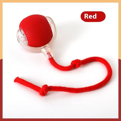 SpinBuddy™ Auto - Roll Tug Ball - PawPlaza