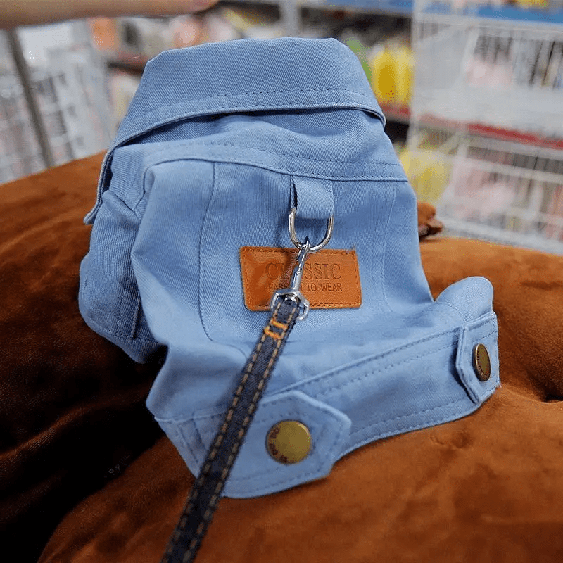 Spring Denim Jacket - PawPlaza
