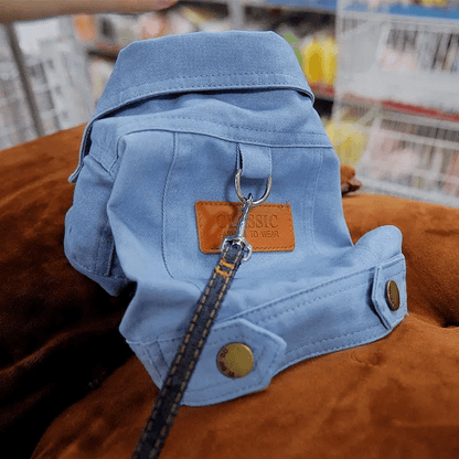Spring Denim Jacket - PawPlaza