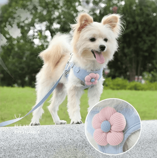 Spring Flower Harness - PawPlaza