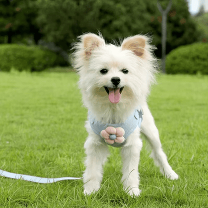 Spring Flower Harness - PawPlaza