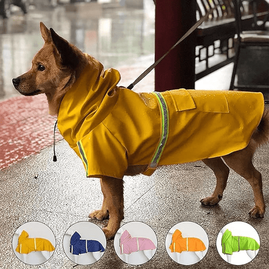 Spring Summer Reflective Raincoat - PawPlaza